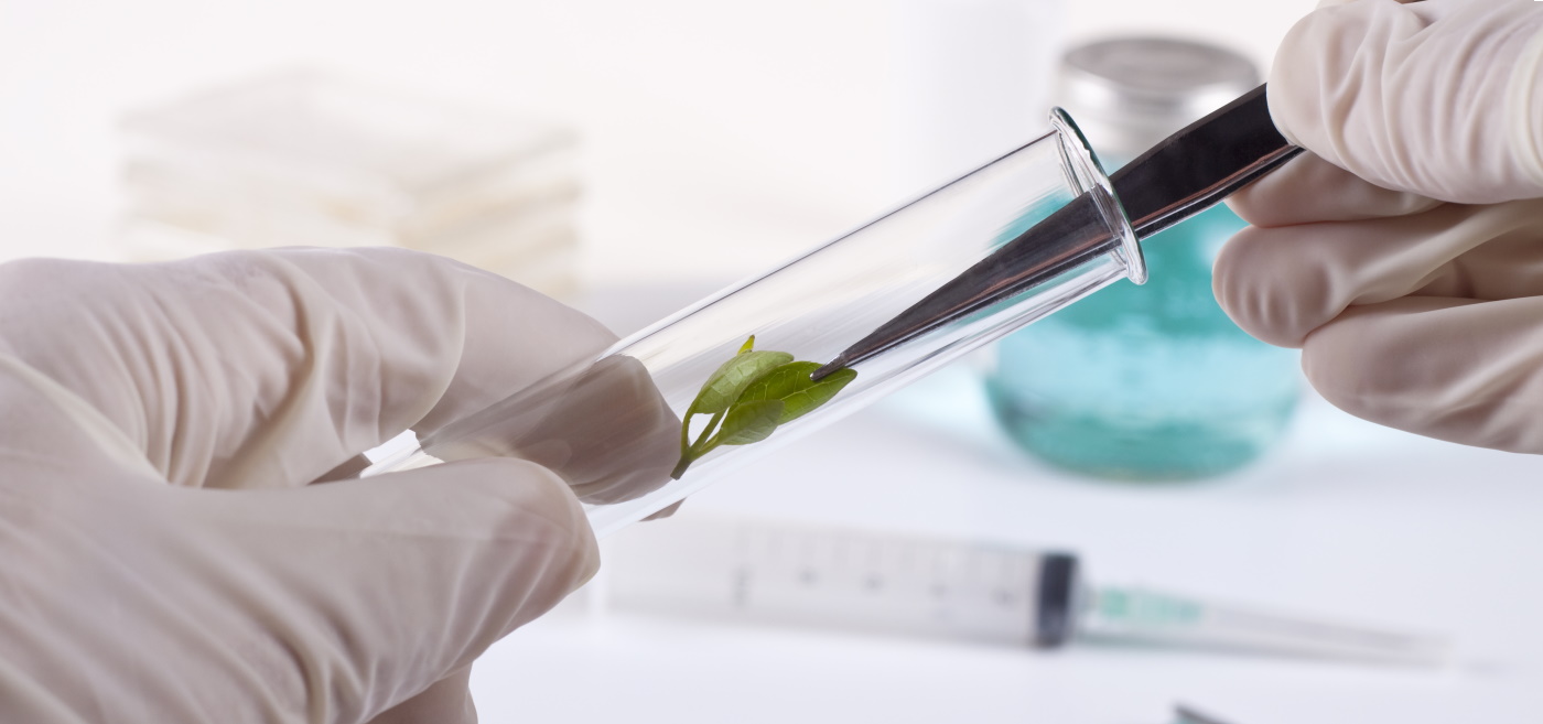 Вспомогательные и не только вещества в продукции компании NSP - 1